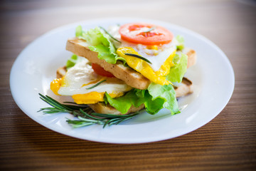 fried toasts with egg, salad, tomato in a plate