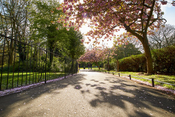 St Stephen's Green park, in Dublin, Ireland