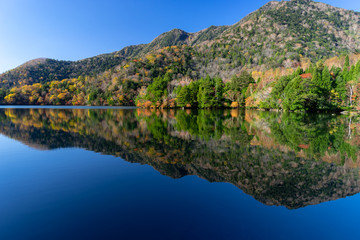 日光湯の湖の紅葉