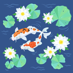 Flowering pond. Two white japanese koi carps with red and black spots swim among beautiful white water lilies and green leaves on a classic blue background. Vector illustration