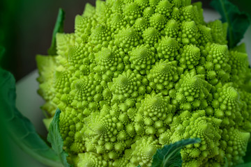 Decorative cabbage Romanesco broccoli close up
