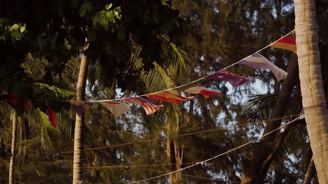 Flags waving on the rope among trees