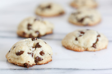 Chewy Chocolate Chip Cookies