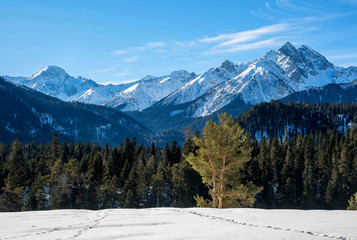 Beautiful panoramic view of the mountains