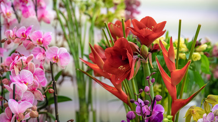 bouquet of colorful fresh flowers in flower shop