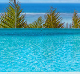 swimming pool with palm trees