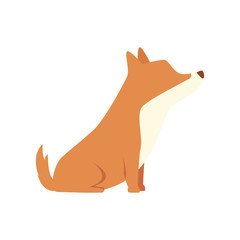 cute dog animal isolated icon vector illustration design