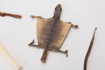 Dried starfish, lizards, geckos, snakes and other wild animals in China are used for brewing wine after being killed