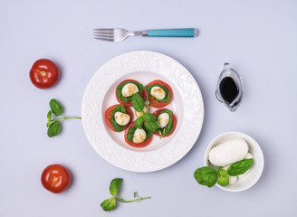 White Plate of Classic Italian Caprese Salad Ripe Tomatoes Fresh Basil Leaf Bowl with Mozarella Cheese Flat Lay Top View Salad and Ingredients