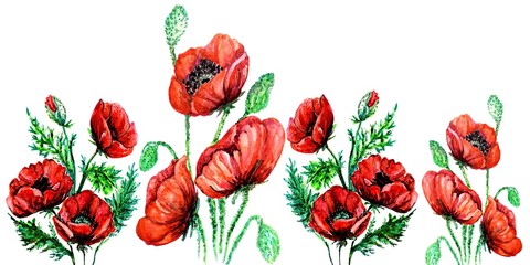 Fototapeta premium Banner of red bright poppies on a white background with free space for your text. Flower border.