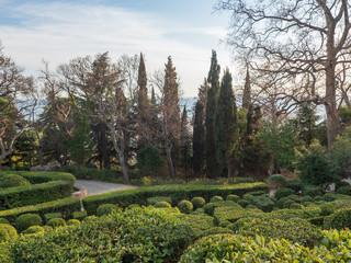 Shrub maze in the park. Vorontsov palace in Crimea