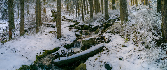 Le Surcenord, ruisseau traversant un sous-bois, Orbey, Vosges, Alsace, France