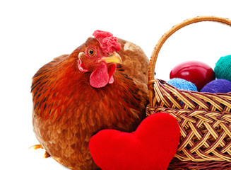 Brown chicken with an egg.