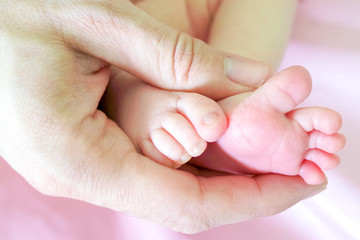 newborn baby feet in mothers hands