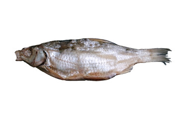dried roach for beer., fish on white background