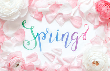 Brush lettering SPRING and pink ranunculus flowers and petals