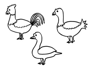 Set of funny birds. Kids vector illustration in doodle style.