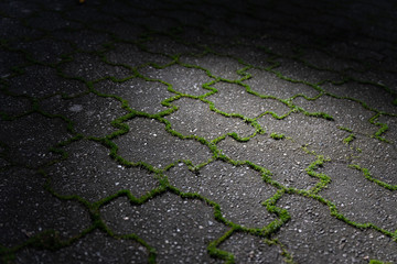 Green weeds grow from the joints of grey concrete paving stones in scenic light.