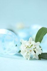 ハートのリボンと香りのよい白い沈丁花 （クローズアップ）
