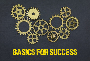 Basics for Success