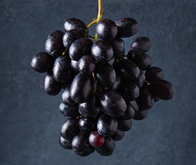 a cluster of juicy black grapes   on a dark gray background
