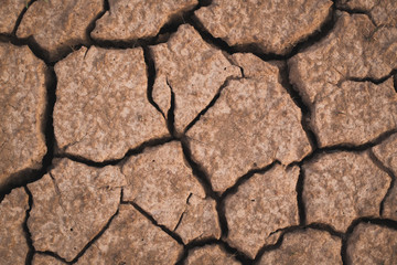 Pattern ground field that is broken from drought in the summer close-up.