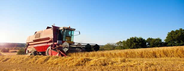 Machine agricole en action dans un champ de blé.