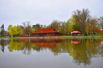 Obraz premium spring Trees reflection on a water