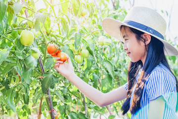 Happy farmers with the produce from the tomato garden.