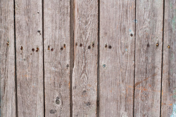Wood texture background. Plank wood wall for text.