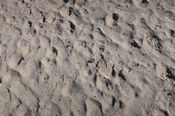 white beach sand with many different footprints on it