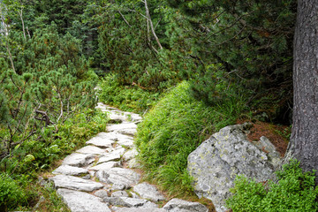 Stone paved pathway in a national park or reserve high in mountains on a nice summer day