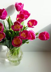 Vivid bouquet of purple tulips in Still Life in a glass vase on white wooden chair. White interior.