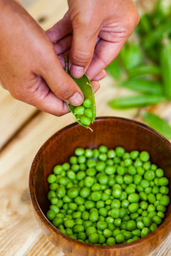 closeup of woman hand depod green peas in brown dish, on wooden table.
