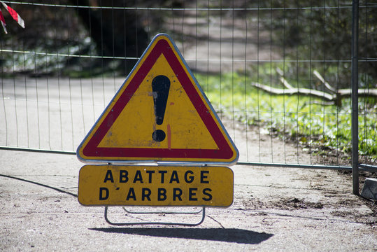view of Tree felling panel with text in french "abattage d'arbres", tree fellling in english traduction
