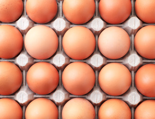 Chicken eggs in a paper tray close-up, background. The view from top.