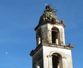 Fototapeta na wymiar bell tower of church with cactus