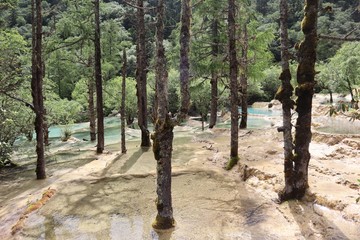 Reserve of blue pools. Crystal clear water in the forest. Huanlong China Asia