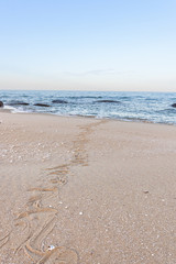 Traces of snake in the sand. Sand Texture. Background from brown sand. selective focus