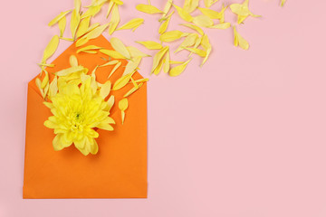 composition of yellow chrysanthemum petals in a blue envelope