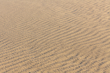 Fototapeta na wymiar Sand Texture. Background from fine sand. Sand background. selective focus