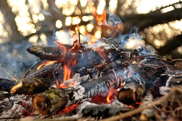 bonfire wood fire flame sparks
