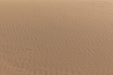 Sand Texture. Background from fine sand. Sand background. selective focus