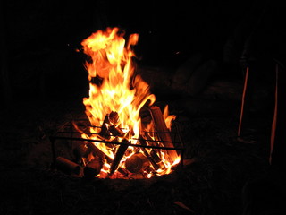 bonfire wood fire flame sparks