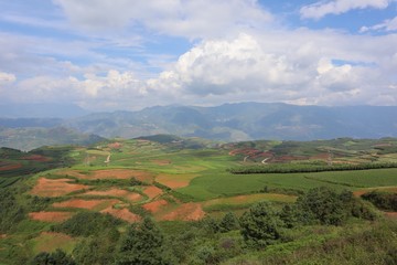 Fototapeta na wymiar Red land Chinese village. Countryside landscape fields. Small town in China Yunnan Asia 