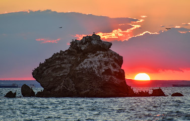 Fototapete bei efototapeten.de bestellen   