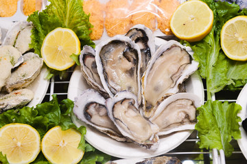 Open frozen oysters are in the freezer. Shellfish lie on a plastic plate surrounded by slices of lemon and lettuce.