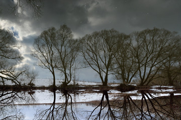 Walking through the forest