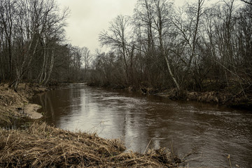 Scenic view of forest river Mergupe in Latvia in winter with no snow