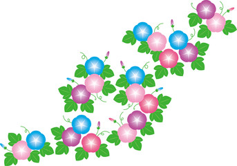 朝顔のイラスト